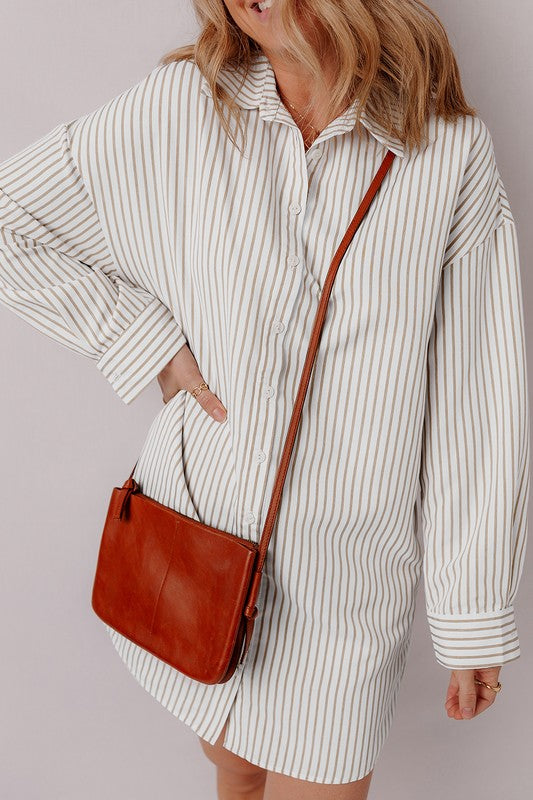 Stripe Long Sleeve Button Up Mini Shirt Dress