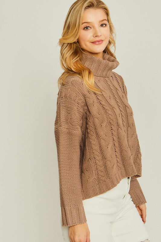 Turtle Neck Cable Knit Sweater