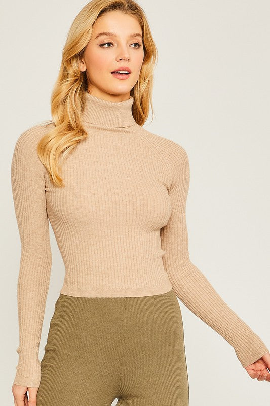 Turtleneck Ribbed Knit Sweater Top