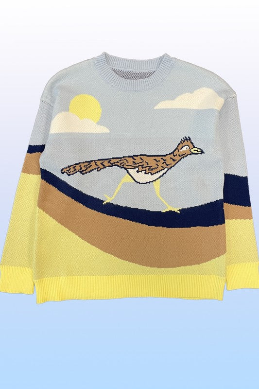 Roadrunner knit sweater