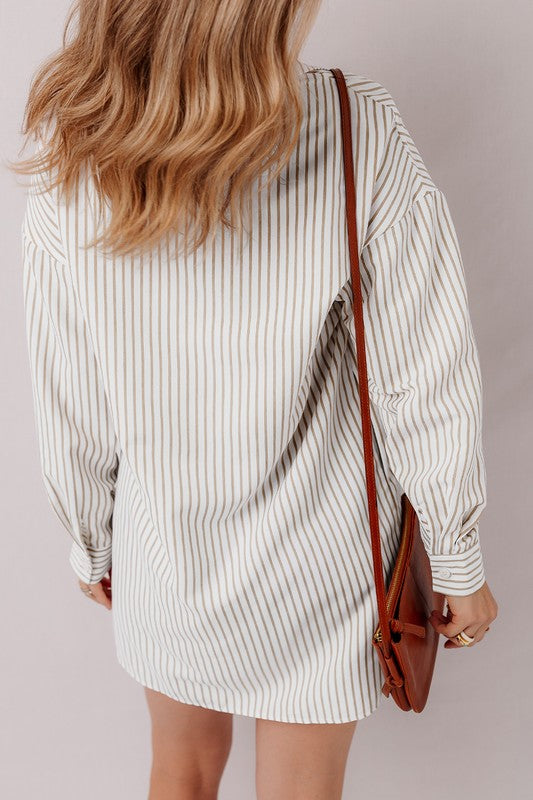 Stripe Long Sleeve Button Up Mini Shirt Dress